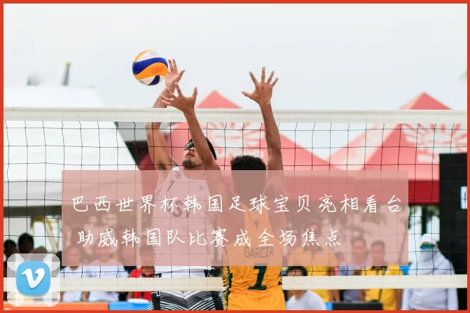 巴西世界杯韩国足球宝贝亮相看台 助威韩国队比赛成全场焦点