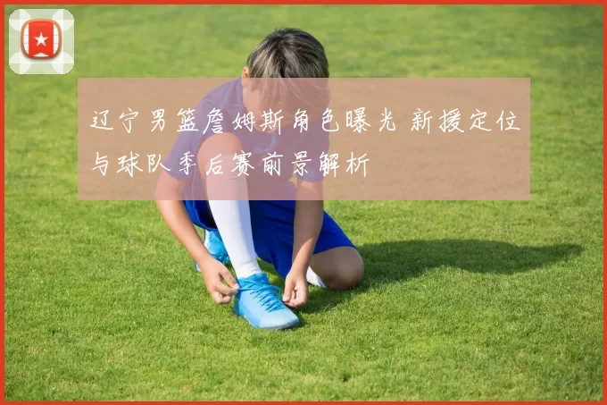 辽宁男篮詹姆斯角色曝光 新援定位与球队季后赛前景解析