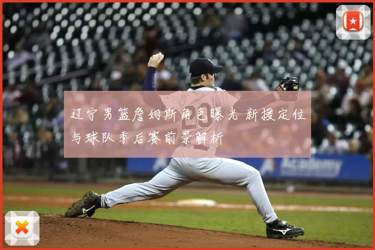 辽宁男篮詹姆斯角色曝光 新援定位与球队季后赛前景解析