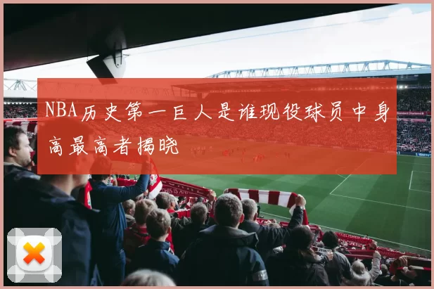 NBA历史第一巨人是谁现役球员中身高最高者揭晓