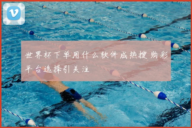 世界杯下单用什么软件成热搜 购彩平台选择引关注